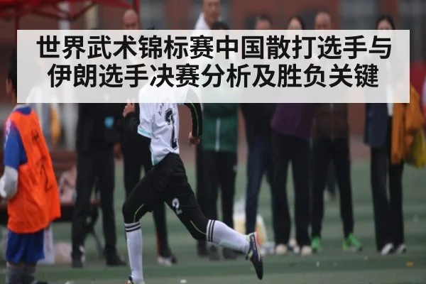 世界武术锦标赛中国散打选手与伊朗选手决赛分析及胜负关键